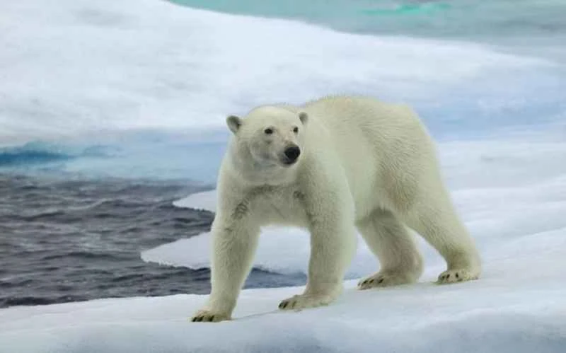 1658401590501436.jpg 1658401590501436.jpg