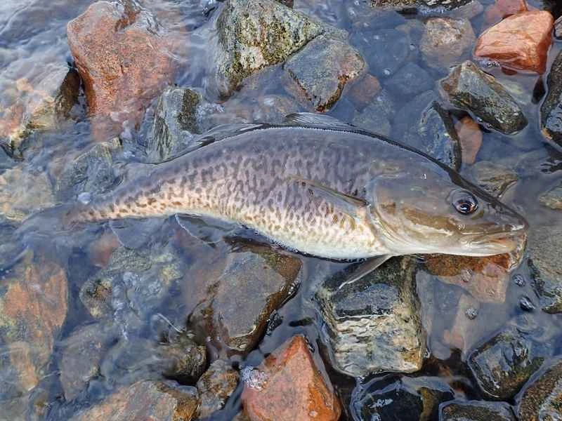 2025022726876848.jpeg 3.jpeg