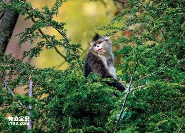 2023042036071067.jpg 3.jpg