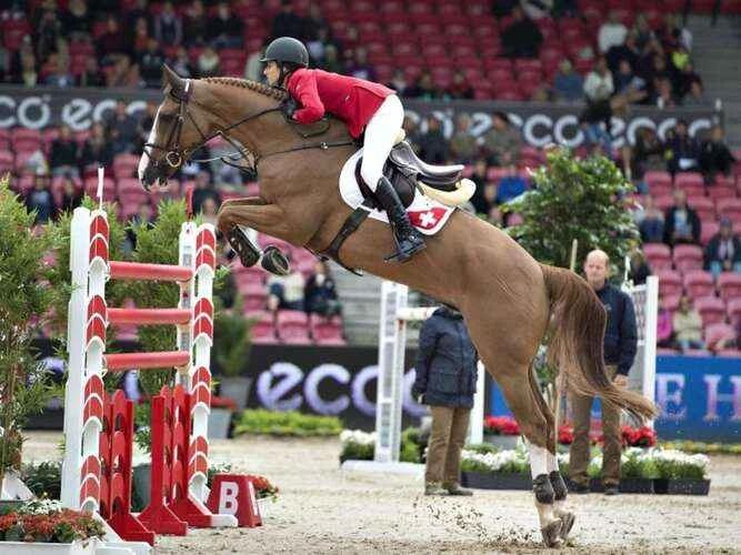 2025042135271105.jpg 4.jpg