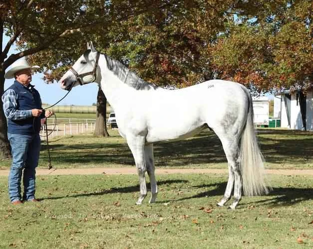 2025042118532106.jpg 2.jpg