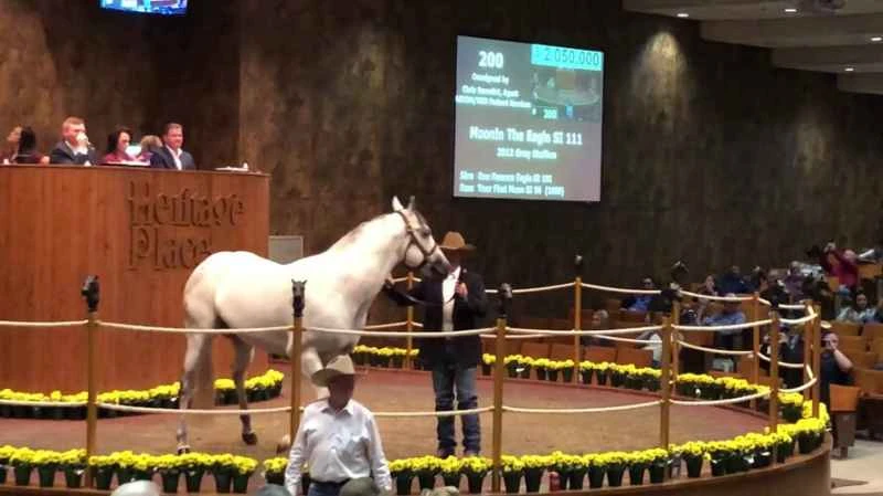 2025042115408437.jpg 22.jpg