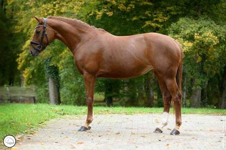 2025042164313709.jpeg 44.jpeg