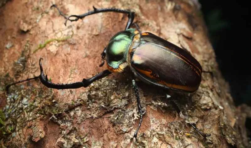 2025041814324760.jpg 8.jpg