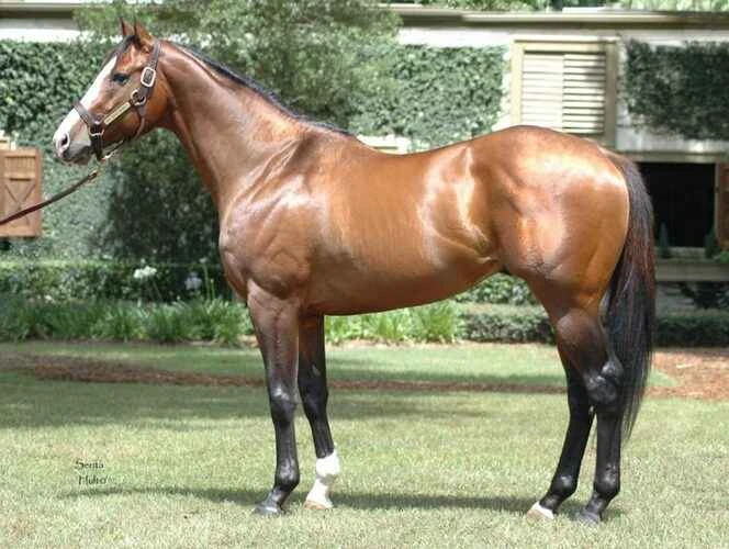 2025042184138671.jpg 1.jpg