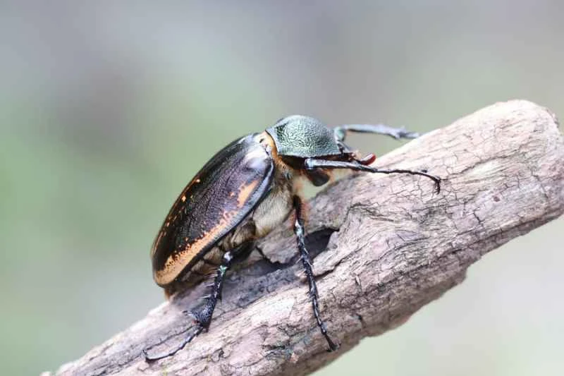 2025041812326172.jpg 7.jpg