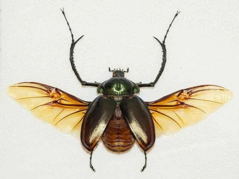 2025041827892600.jpeg 6.jpeg