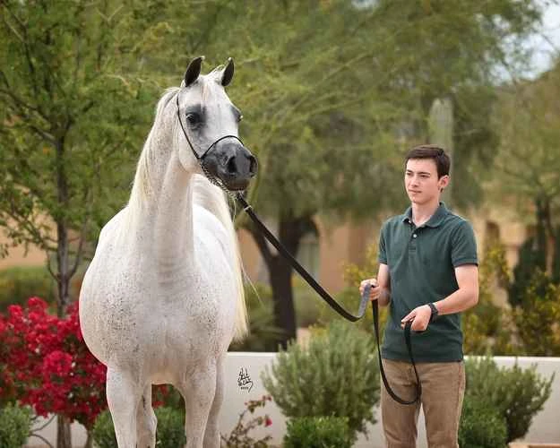 2025042111660611.jpeg 33.jpeg