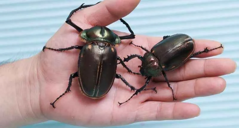 2025041821982081.jpeg 5.jpeg