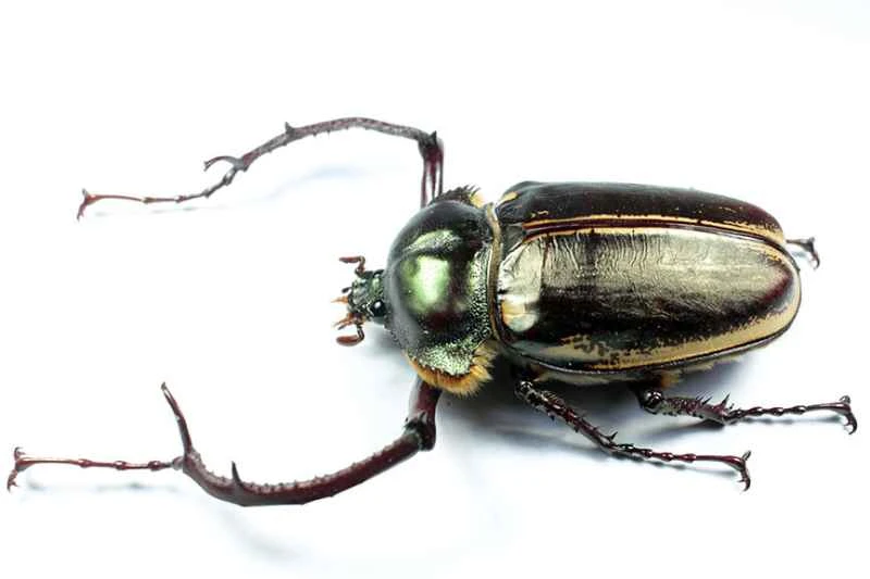 2025041865404198.jpg 4.jpg