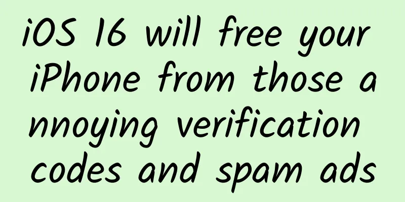 iOS 16 will free your iPhone from those annoying verification codes and spam ads