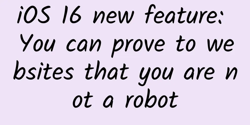 iOS 16 new feature: You can prove to websites that you are not a robot