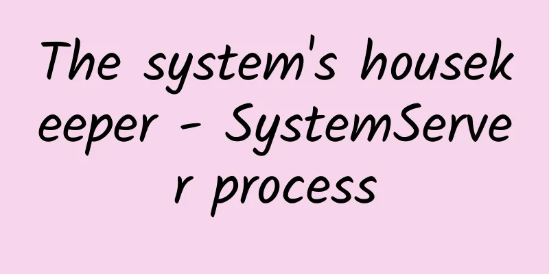 The system's housekeeper - SystemServer process