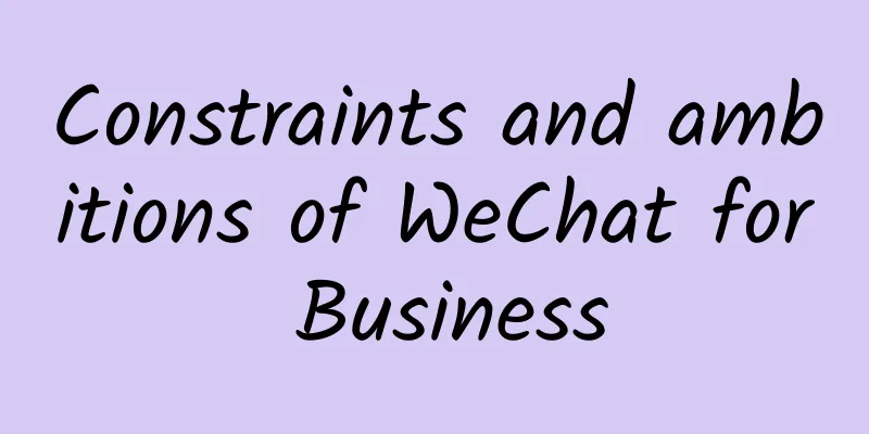Constraints and ambitions of WeChat for Business