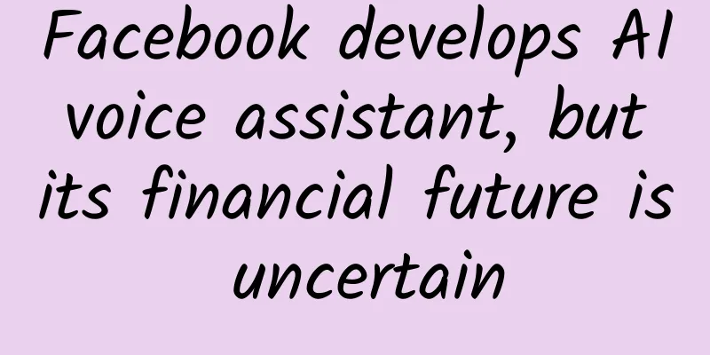 Facebook develops AI voice assistant, but its financial future is uncertain
