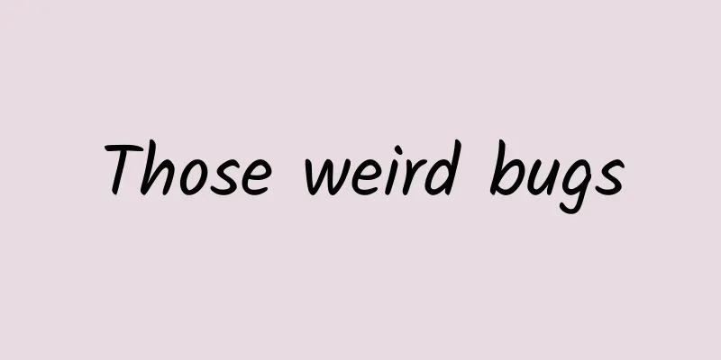 Those weird bugs