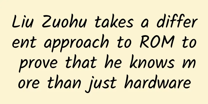 Liu Zuohu takes a different approach to ROM to prove that he knows more than just hardware