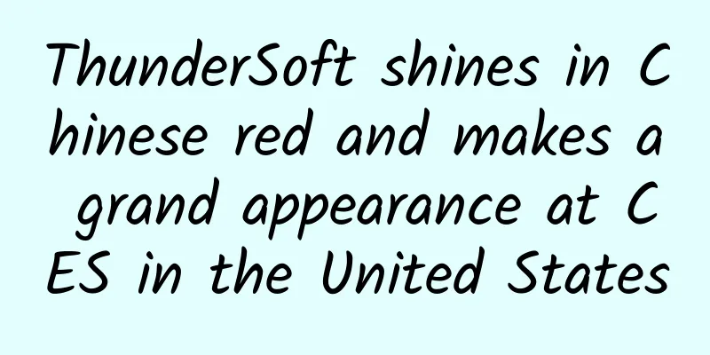 ThunderSoft shines in Chinese red and makes a grand appearance at CES in the United States