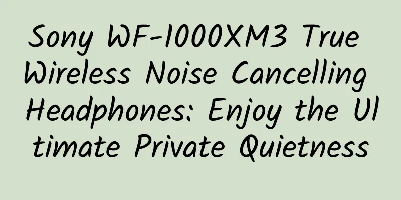 Sony WF-1000XM3 True Wireless Noise Cancelling Headphones: Enjoy the Ultimate Private Quietness