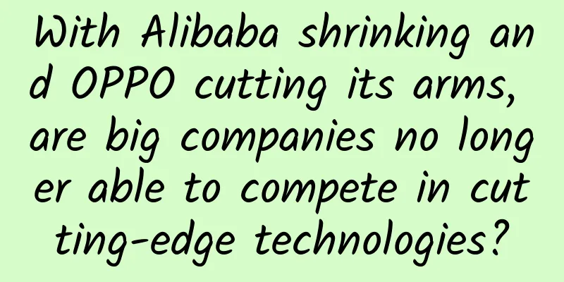 With Alibaba shrinking and OPPO cutting its arms, are big companies no longer able to compete in cutting-edge technologies?