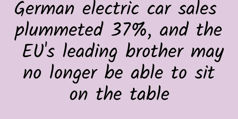 German electric car sales plummeted 37%, and the EU's leading brother may no longer be able to sit on the table