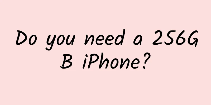 Do you need a 256GB iPhone?