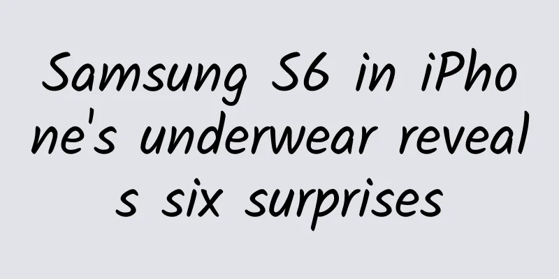 Samsung S6 in iPhone's underwear reveals six surprises