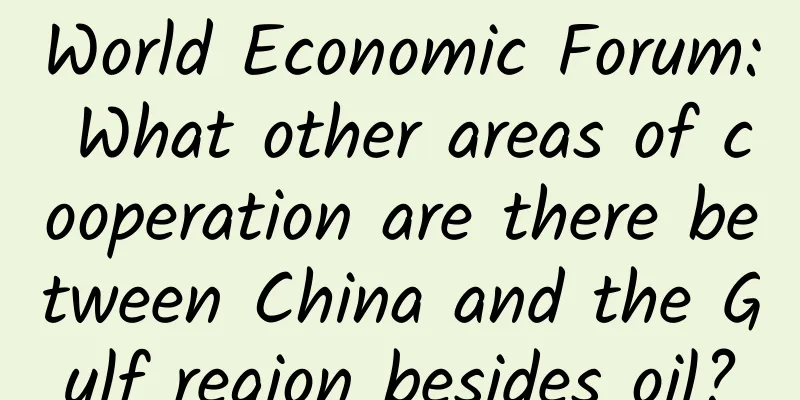 World Economic Forum: What other areas of cooperation are there between China and the Gulf region besides oil?