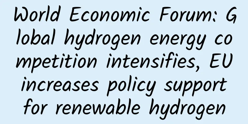 World Economic Forum: Global hydrogen energy competition intensifies, EU increases policy support for renewable hydrogen