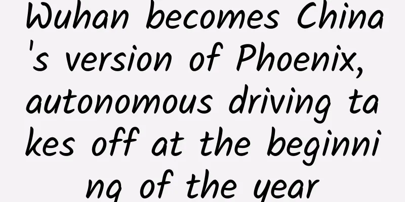 Wuhan becomes China's version of Phoenix, autonomous driving takes off at the beginning of the year