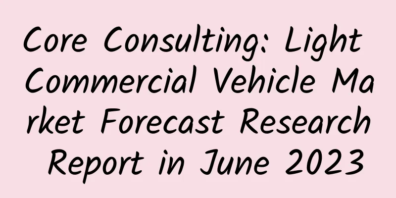 Core Consulting: Light Commercial Vehicle Market Forecast Research Report in June 2023
