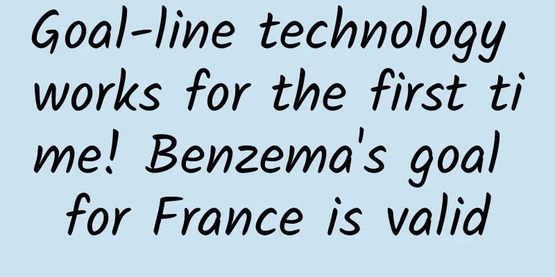 Goal-line technology works for the first time! Benzema's goal for France is valid