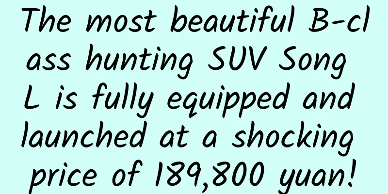 The most beautiful B-class hunting SUV Song L is fully equipped and launched at a shocking price of 189,800 yuan!