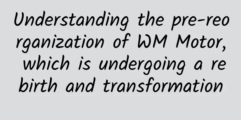 Understanding the pre-reorganization of WM Motor, which is undergoing a rebirth and transformation