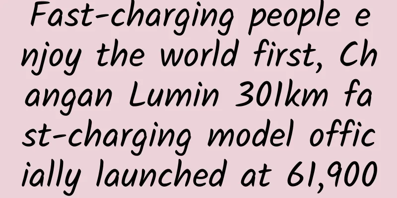 Fast-charging people enjoy the world first, Changan Lumin 301km fast-charging model officially launched at 61,900