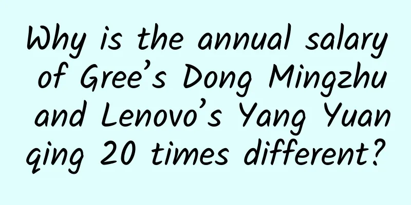 Why is the annual salary of Gree’s Dong Mingzhu and Lenovo’s Yang Yuanqing 20 times different?