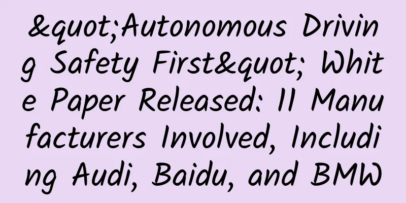 "Autonomous Driving Safety First" White Paper Released: 11 Manufacturers Involved, Including Audi, Baidu, and BMW