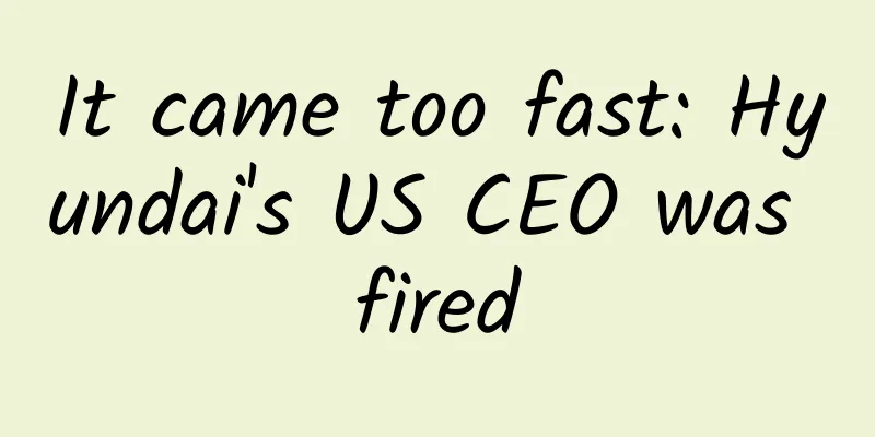 It came too fast: Hyundai's US CEO was fired