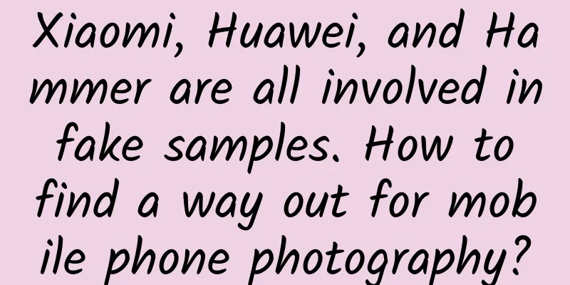 Xiaomi, Huawei, and Hammer are all involved in fake samples. How to find a way out for mobile phone photography?