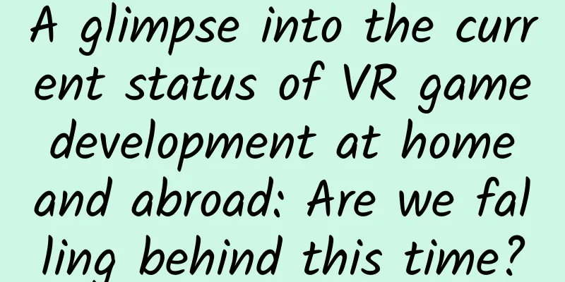 A glimpse into the current status of VR game development at home and abroad: Are we falling behind this time?