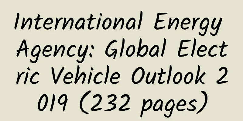 International Energy Agency: Global Electric Vehicle Outlook 2019 (232 pages)