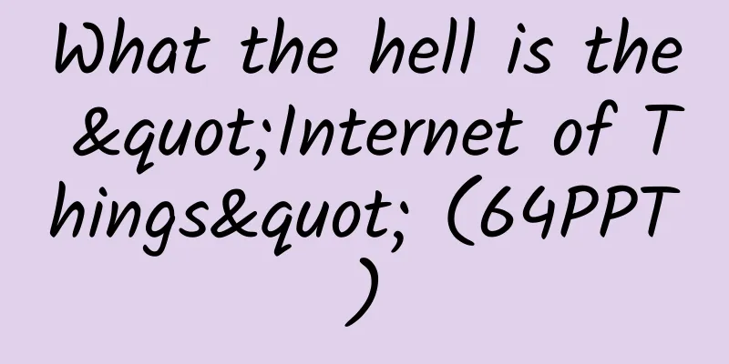 What the hell is the "Internet of Things" (64PPT)