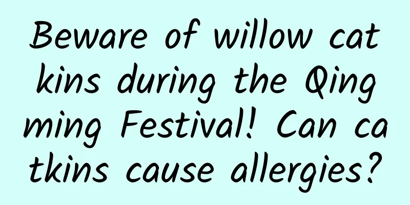 Beware of willow catkins during the Qingming Festival! Can catkins cause allergies?