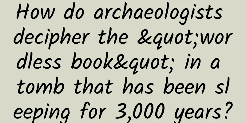 How do archaeologists decipher the "wordless book" in a tomb that has been sleeping for 3,000 years?
