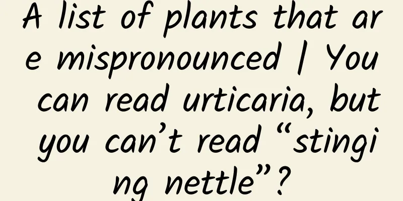 A list of plants that are mispronounced | You can read urticaria, but you can’t read “stinging nettle”?