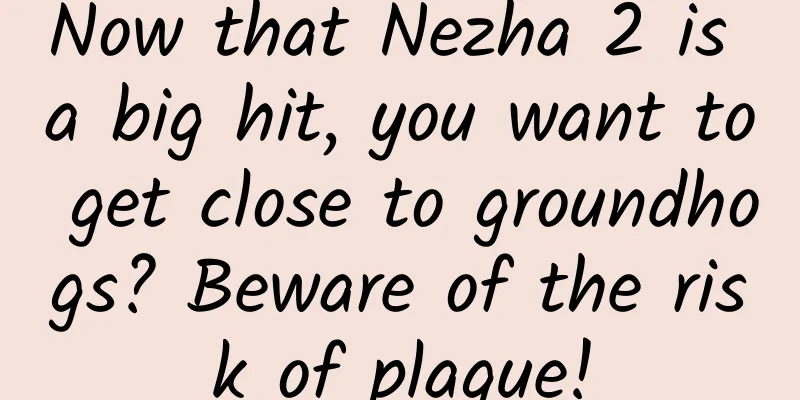 Now that Nezha 2 is a big hit, you want to get close to groundhogs? Beware of the risk of plague!