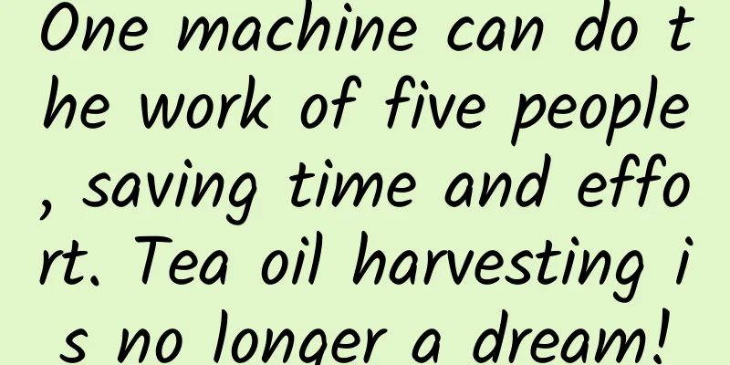 One machine can do the work of five people, saving time and effort. Tea oil harvesting is no longer a dream!