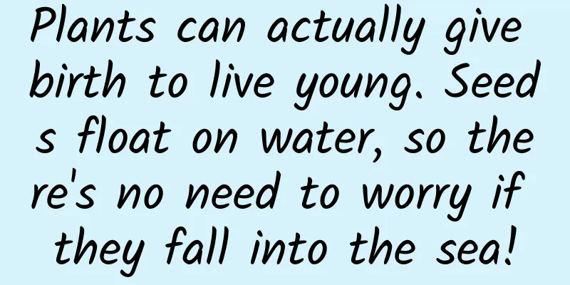 Plants can actually give birth to live young. Seeds float on water, so there's no need to worry if they fall into the sea!
