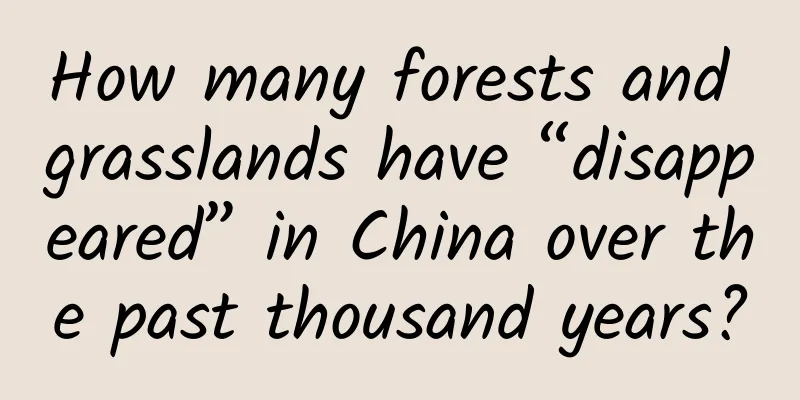 How many forests and grasslands have “disappeared” in China over the past thousand years?