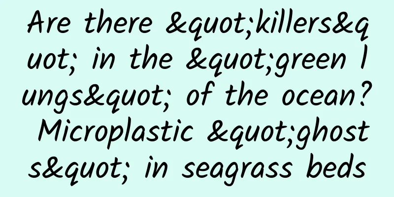 Are there "killers" in the "green lungs" of the ocean? Microplastic "ghosts" in seagrass beds